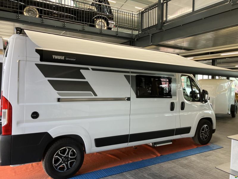 Roller Team Livinstone DUO 600 NEW MODEL