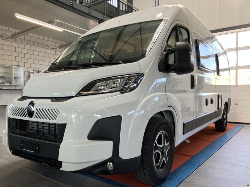 Roller Team Livinstone DUO 600 NEW MODEL