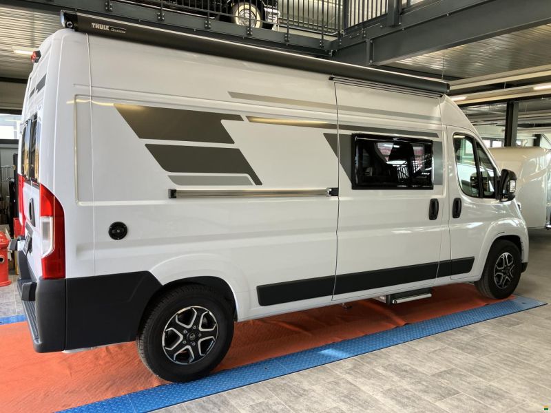 Roller Team Livinstone DUO 600 NEW MODEL