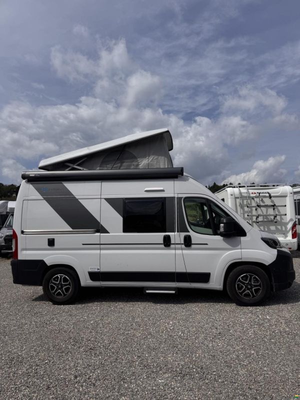 Sun Living V 55 SP