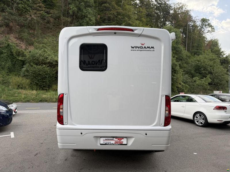 Wingamm Oasi 540.1