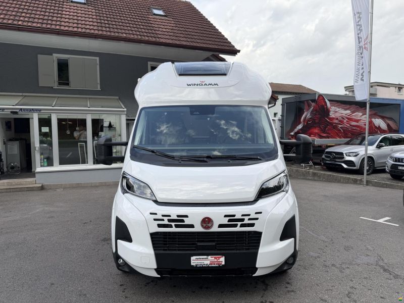 Wingamm Oasi 540.1