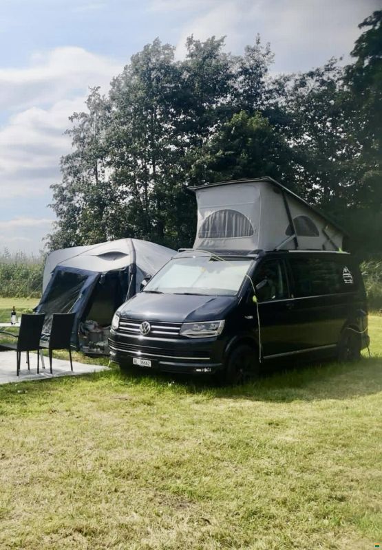 VW Bus T6