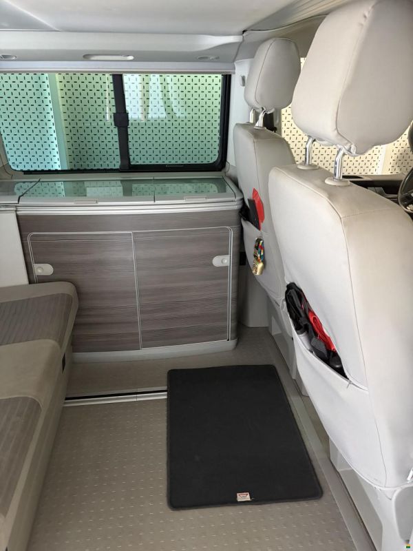 VW Bus T6