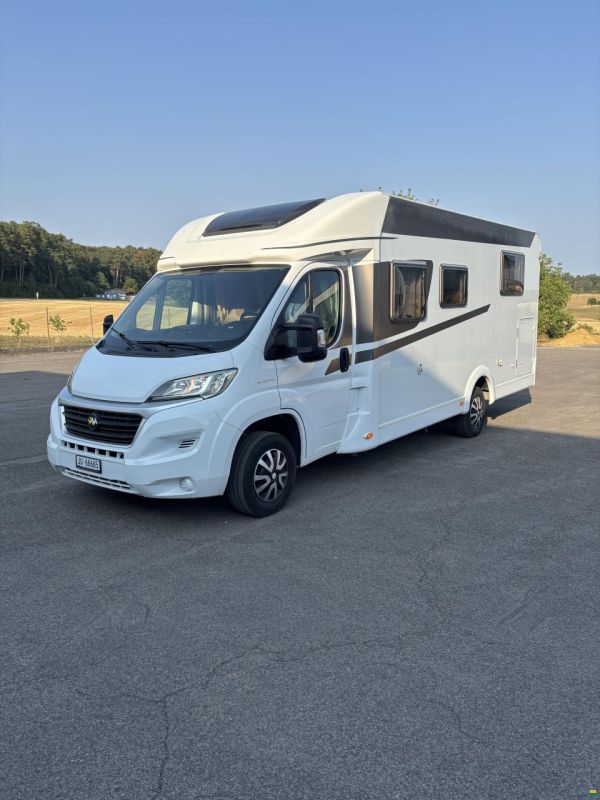 Carado T 447