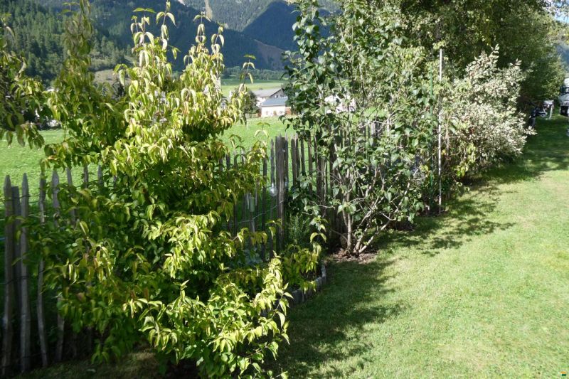 Tabbert Puccini 550 E 2,5