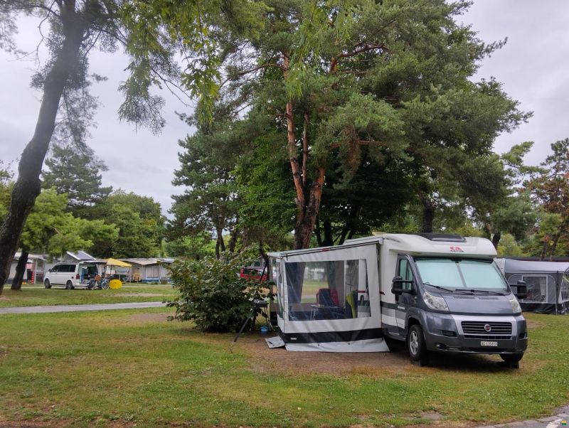 Adria Fiat-B8 Coral S600