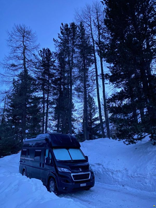 Globe-Traveller Voyager Z