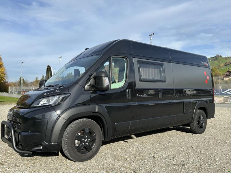 Peugeot Bravia Swan 599