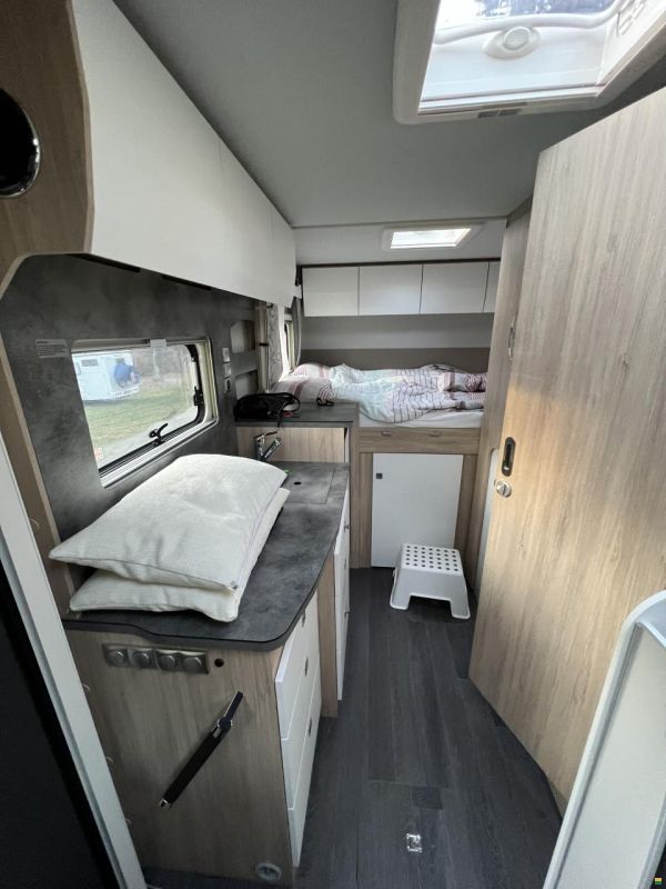 Frankia Neo BD, Blackline