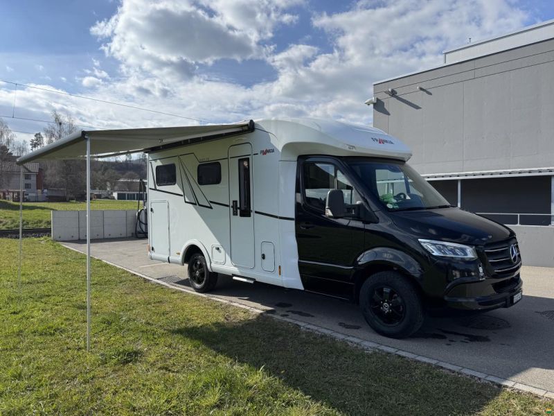 Frankia Neo BD, Blackline