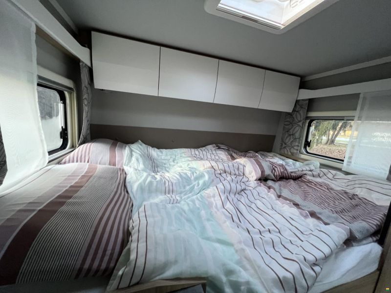 Frankia Neo BD, Blackline