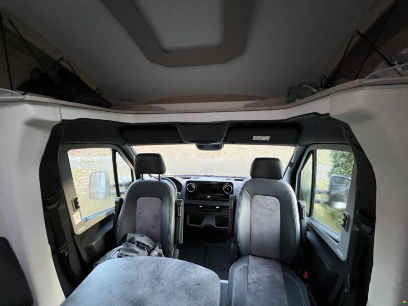 Frankia Neo BD, Blackline