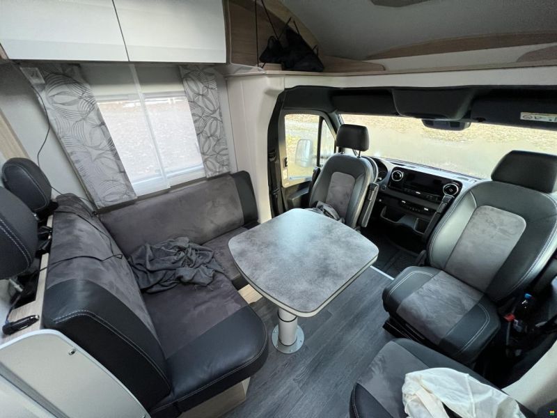 Frankia Neo BD, Blackline