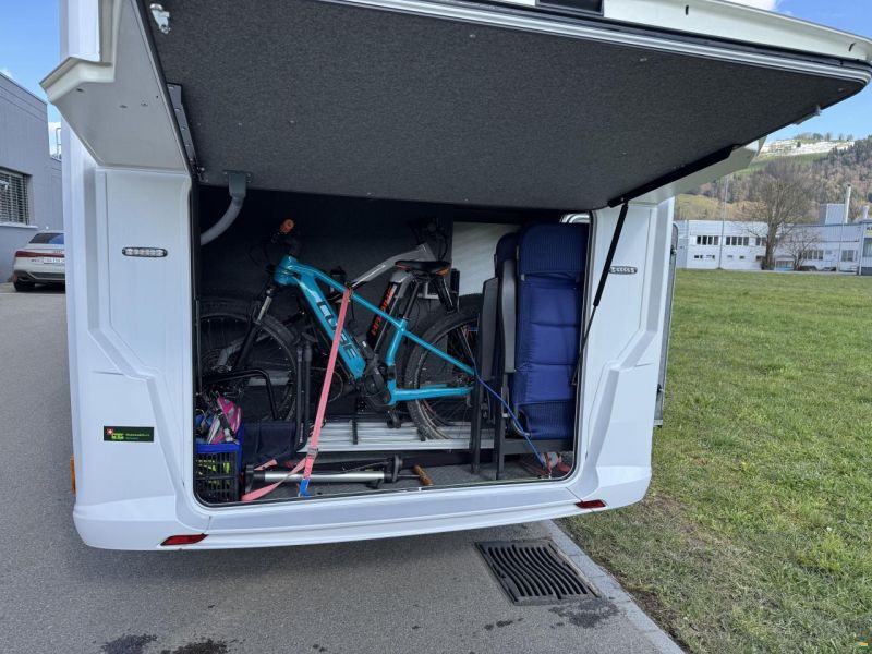 Frankia Neo BD, Blackline