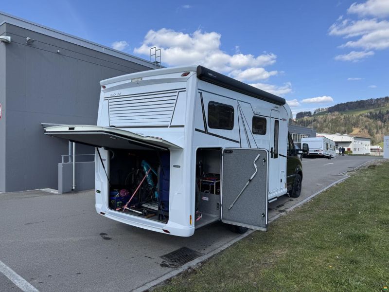 Frankia Neo BD, Blackline