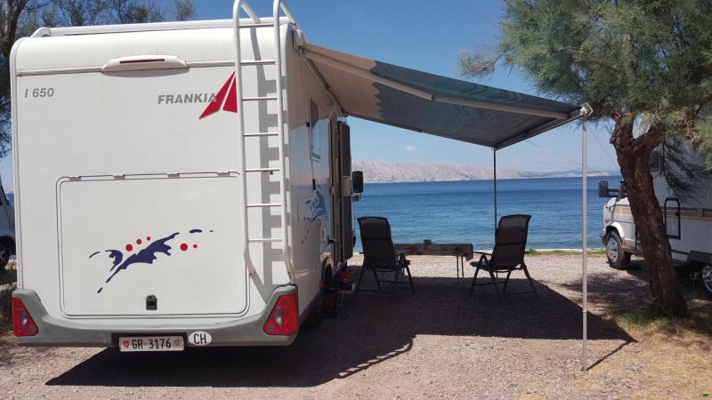 Frankia i 650