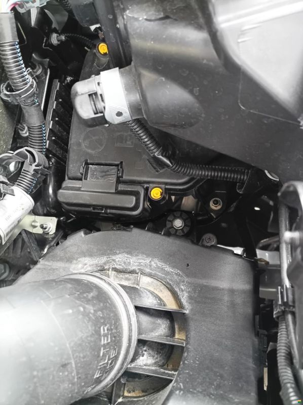Rapido COMPACT C55