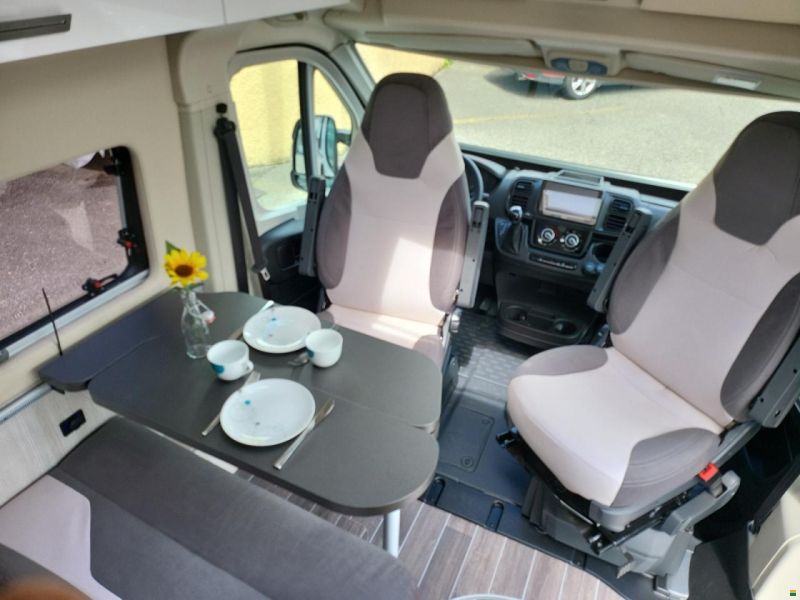 Roller Team Livingstone Duo XL Sport 2024