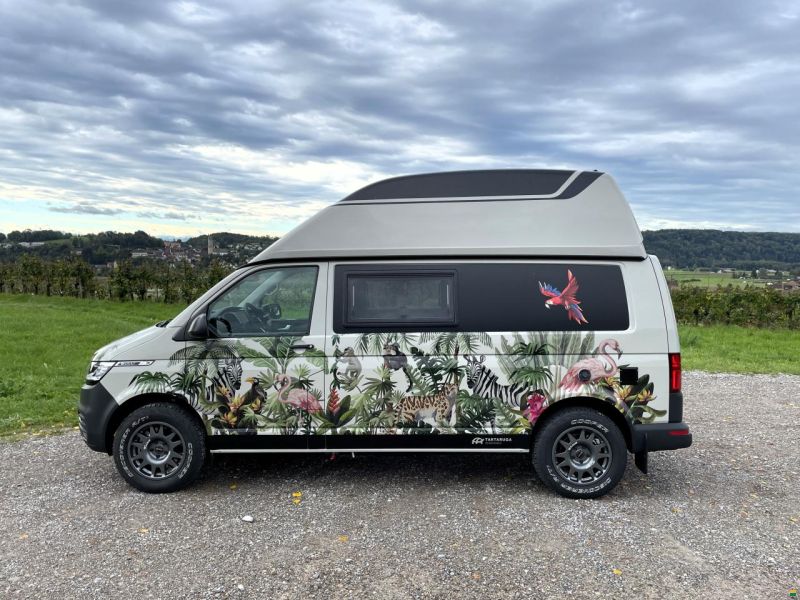 Fischer Octo-bus mit Hochdach