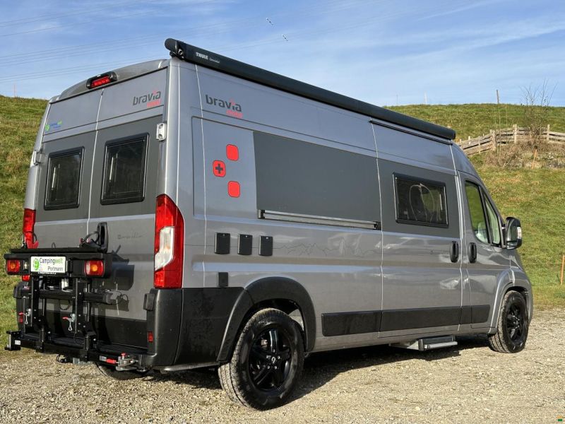 Bravia Mobil Swan 599