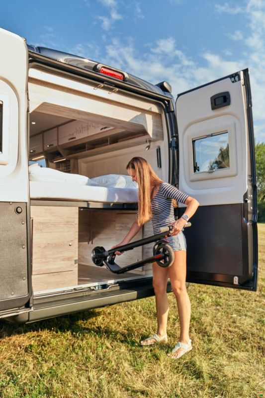 Bravia Mobil Swan 599