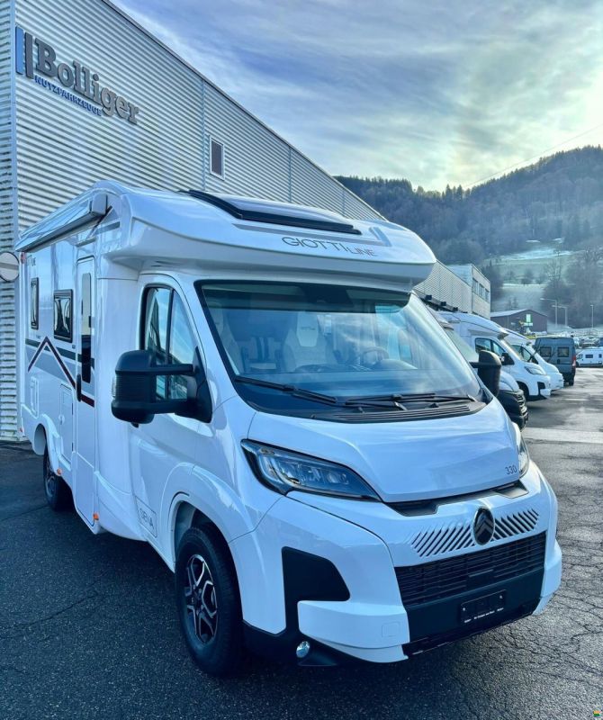 Giottiline Siena 330