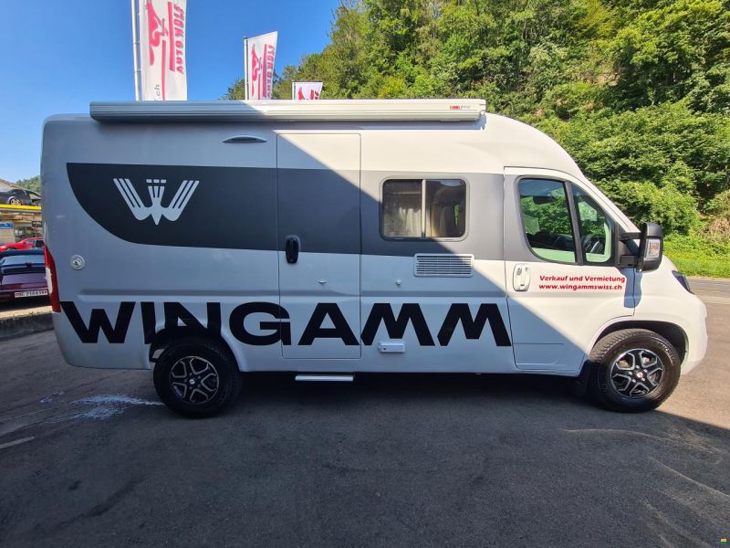 Wingamm City Pro