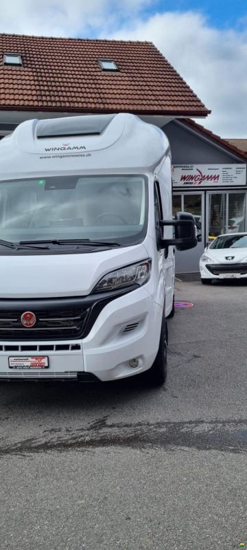 Wingamm Oasi 540.1