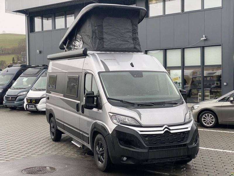 Robeta Womondo Siren