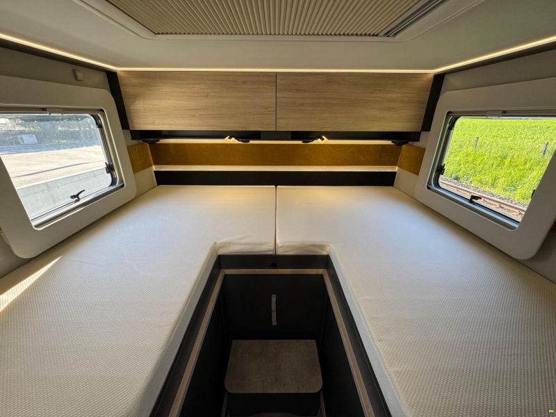 Frankia Now 7.0 L SUN