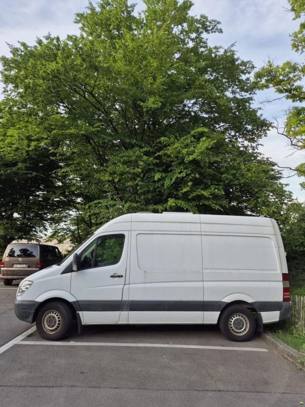 Mercedes Benz 313 CDI