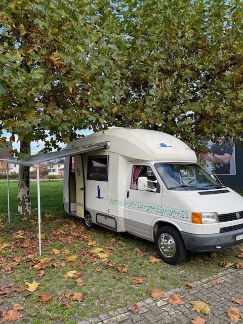 Wingamm Ibis 530