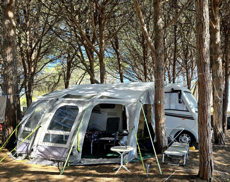 LMC Explorer