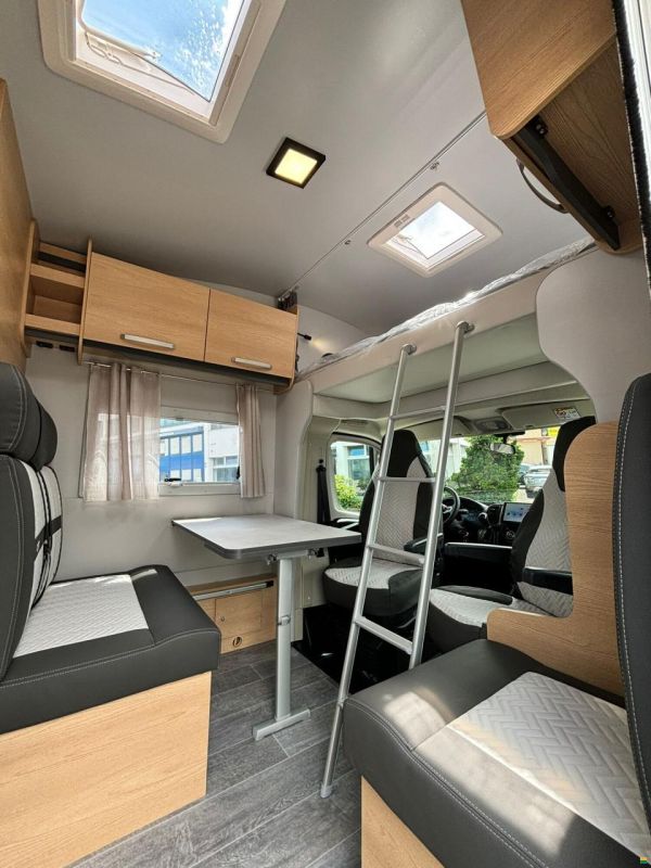 Giottiline Siena 485