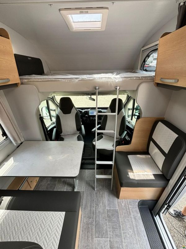 Giottiline Siena 485