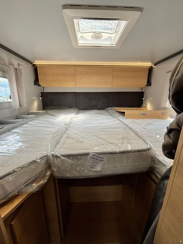 Giottiline Siena 485