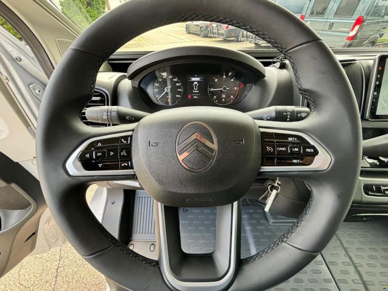 Giottiline Siena 485