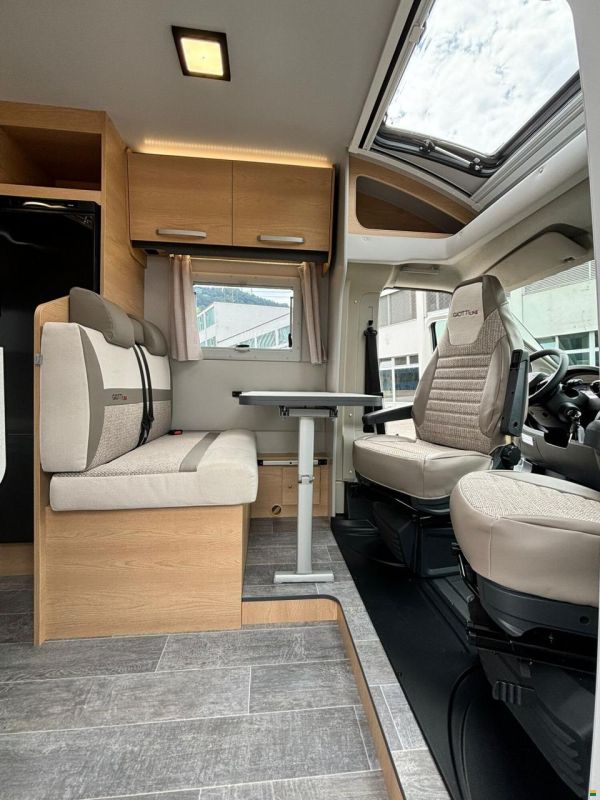 Giottiline Siena 330