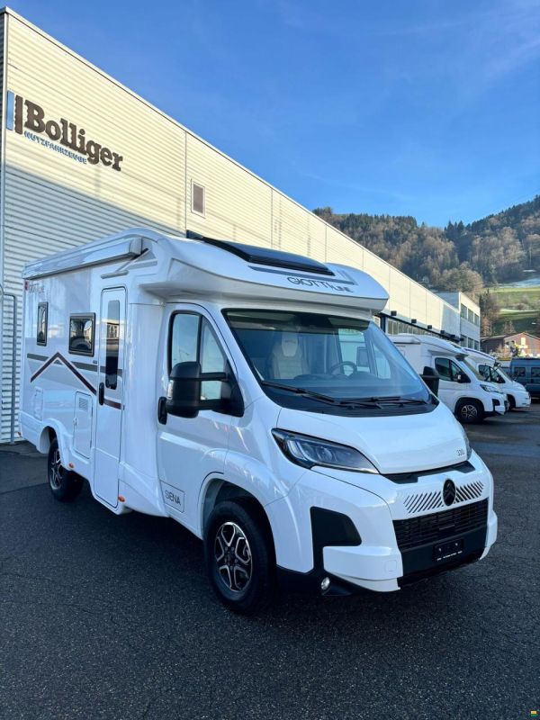 Giottiline Siena 330