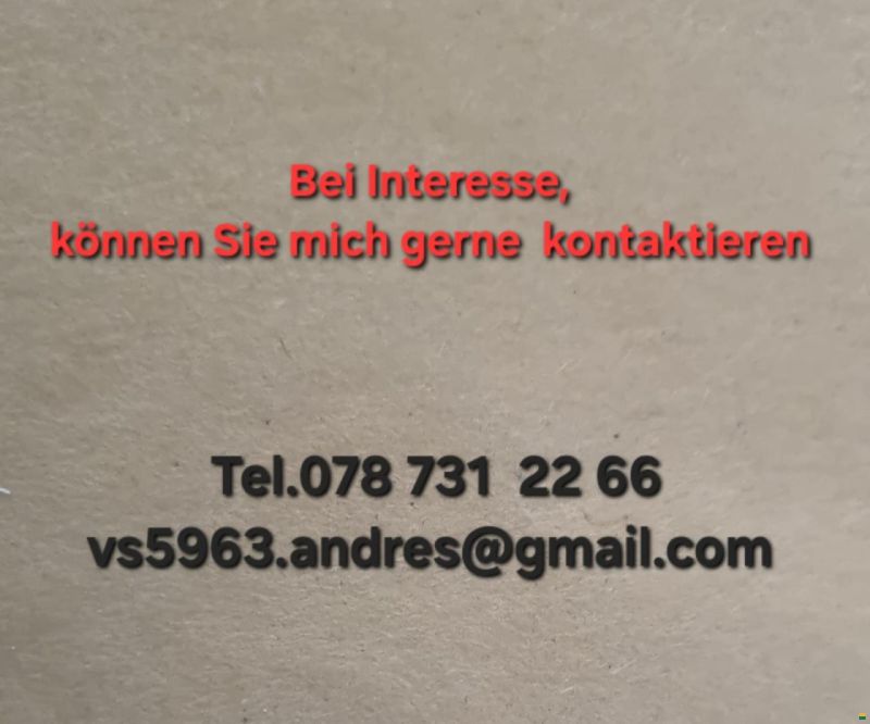 Dethleffs Camper 520 RET