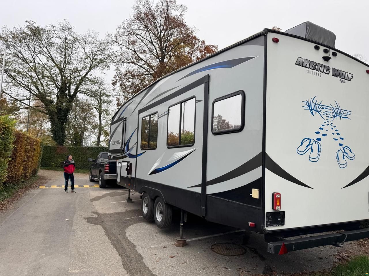 Forest River Artic Wolf