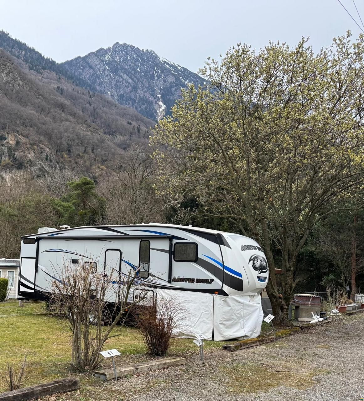 Forest River Artic Wolf
