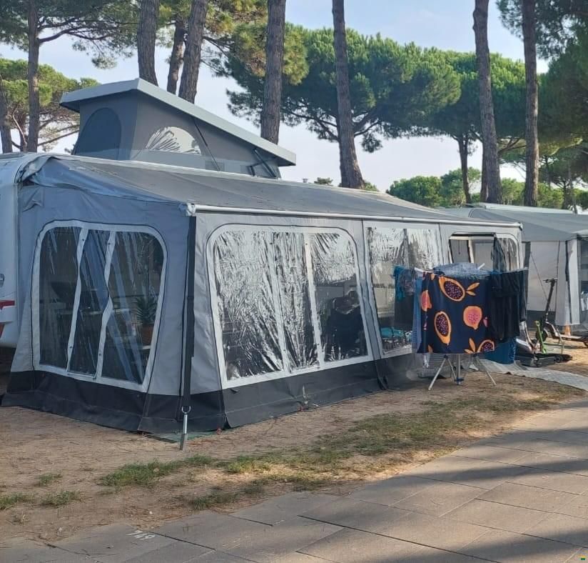 LMC VIVO Energy 533K