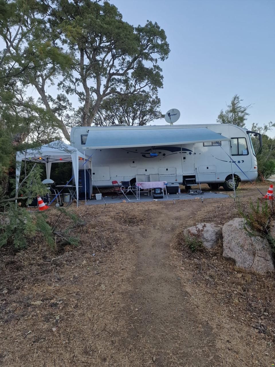 Phoenix Liner 9300 SG