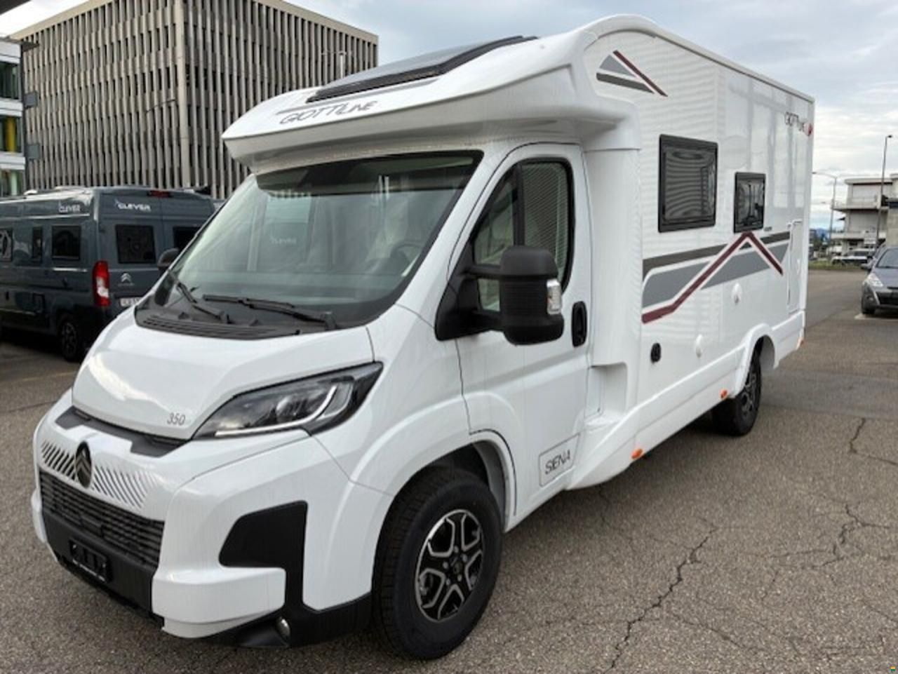 Giottiline Siena 350