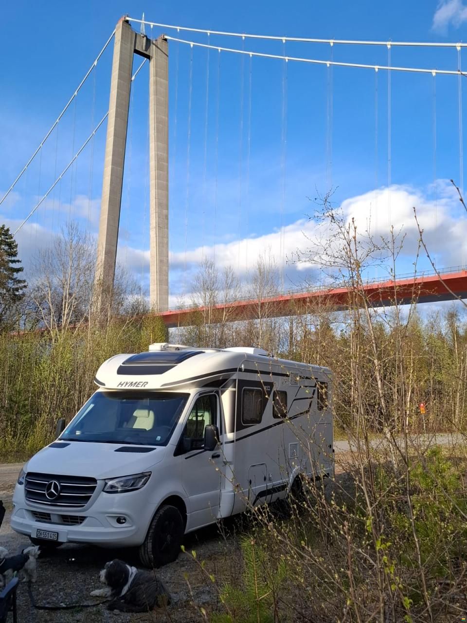 Hymer B-Klasse MCT WhiteLine 600 2024