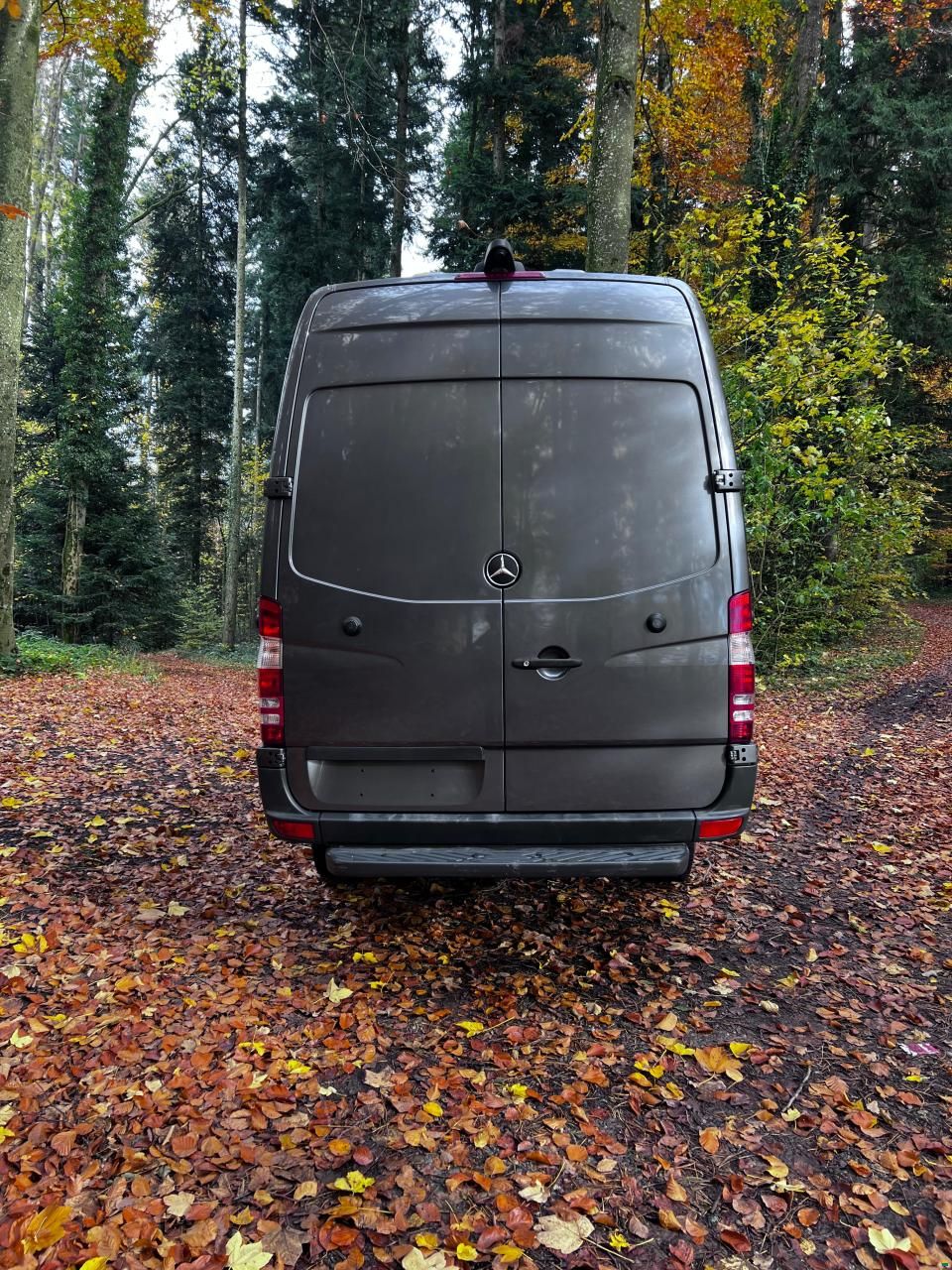 Mercedes Benz L3H2 319 BT 4x4