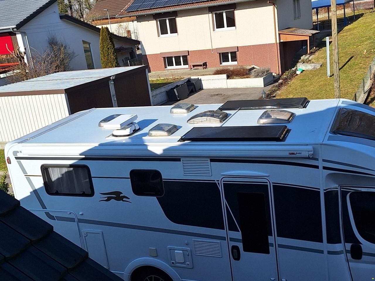 Laika Kosmo Emblema 509