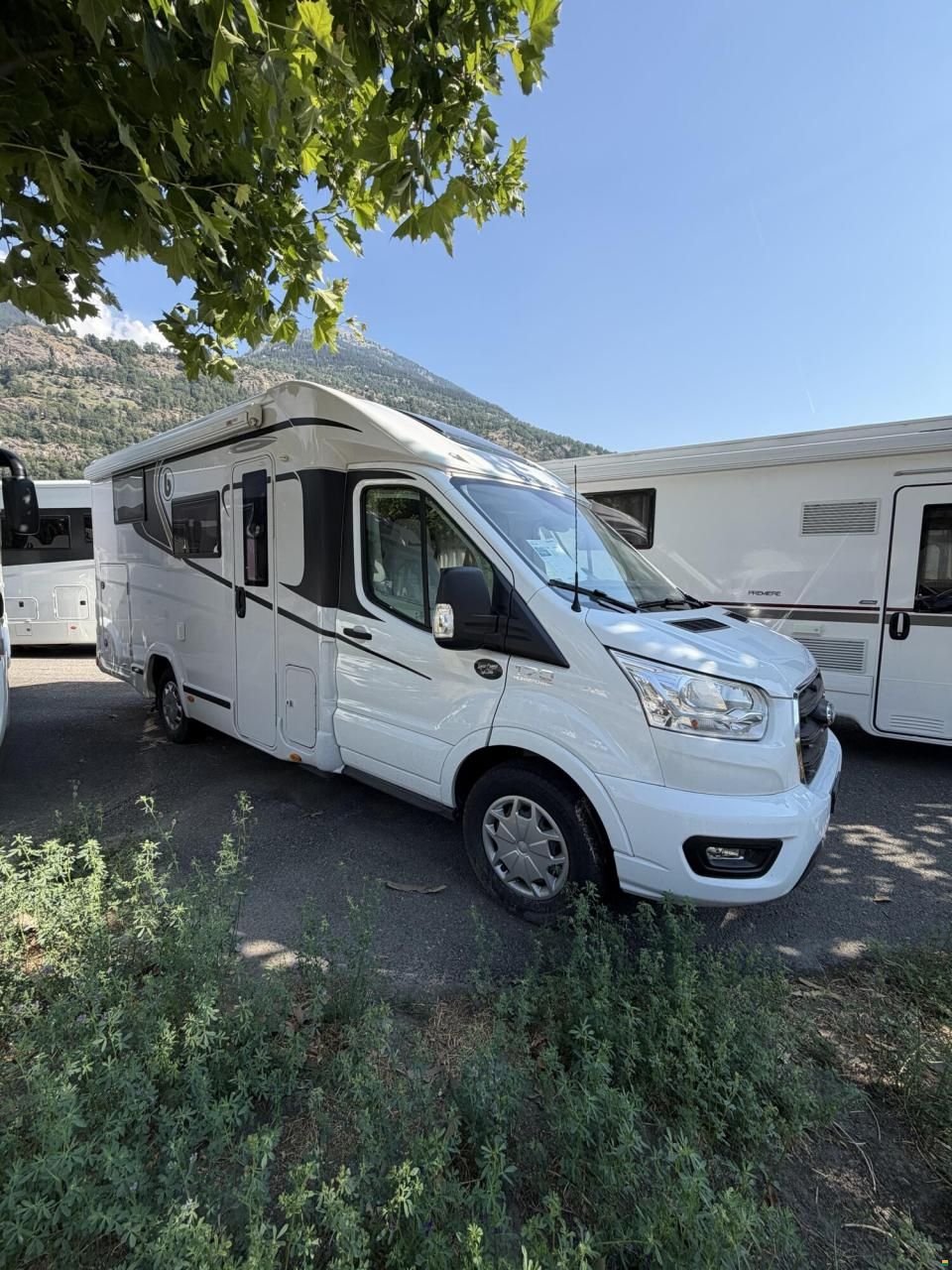 Benimar Yrteo Y861